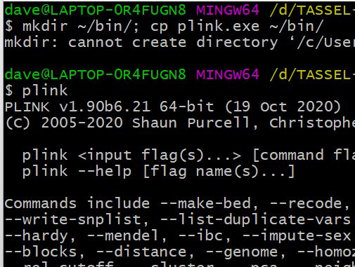 如何运行plink软件三种方法