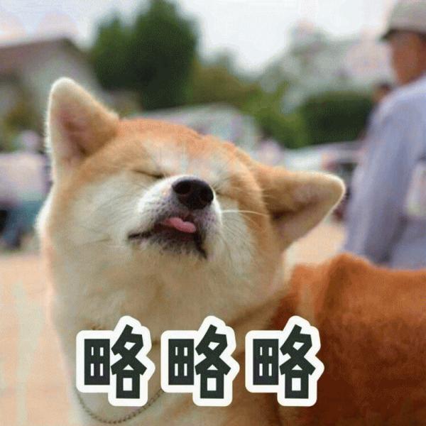 动图封面