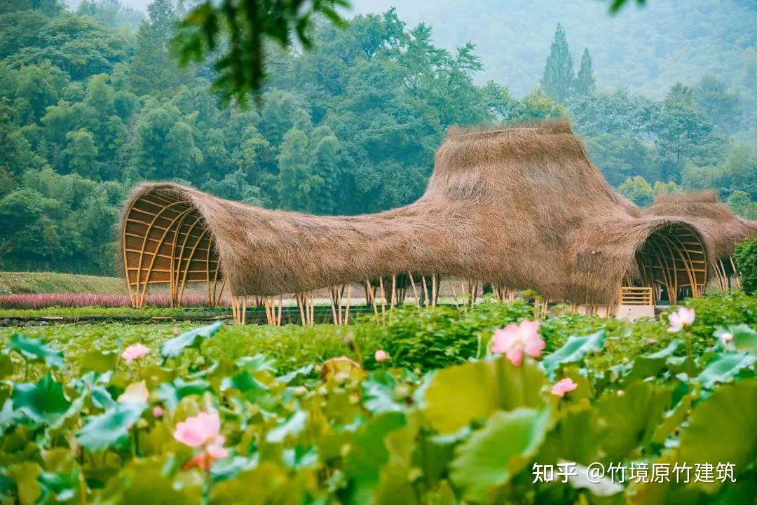 竹建筑“花海竹廊” 竹境设计施工一体化 - 知乎