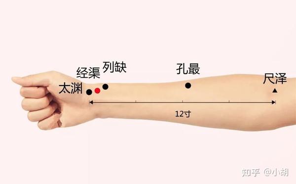 倪海厦针灸课笔记(8)手太阴肺经 - 知乎