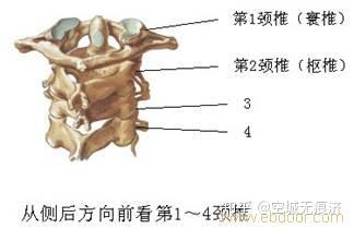 v2-a8aaa2dabc3d115f9a915da35baf96ca_b.jpg