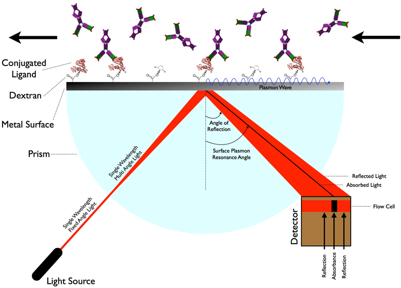 【分析技术】SPR 表面等离子共振（Surface Plasmon Resonance）的基本原理与应用 - 知乎