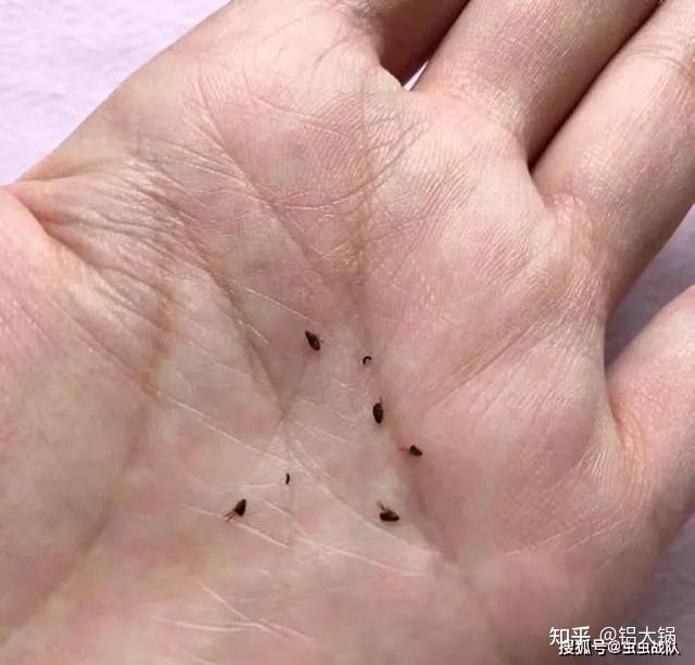 我慌忙把摩托车在路边停好.下车后快速把脚上小虫子抹掉.