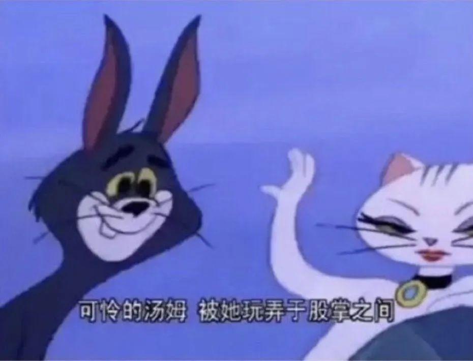 猫和老鼠Tom and Jerry中的 Tom 猫是什么品种 知乎