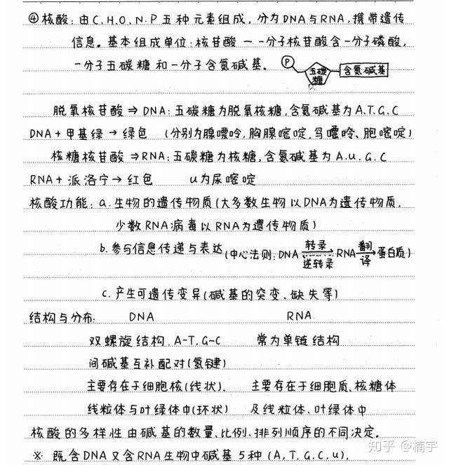 457页高考状元手写生物笔记比教材全高中三年一份就够了