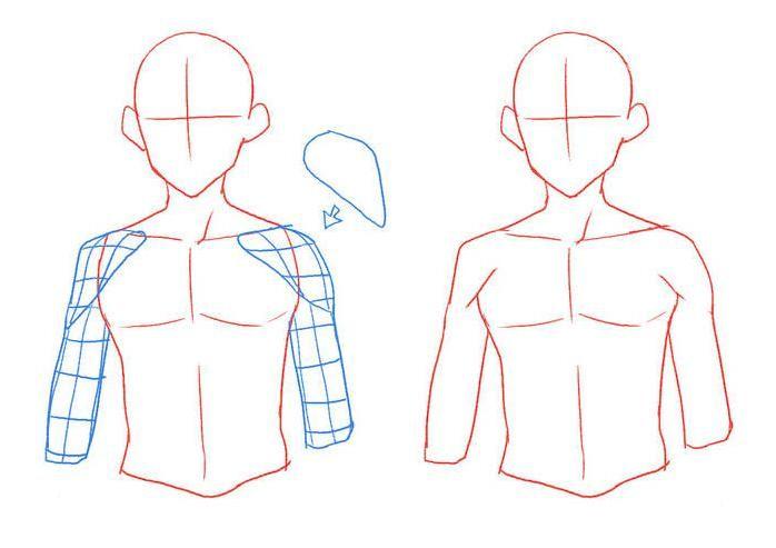 建议大家记好——比如其中的三角肌结构但其中也有一些是人体的外剪影