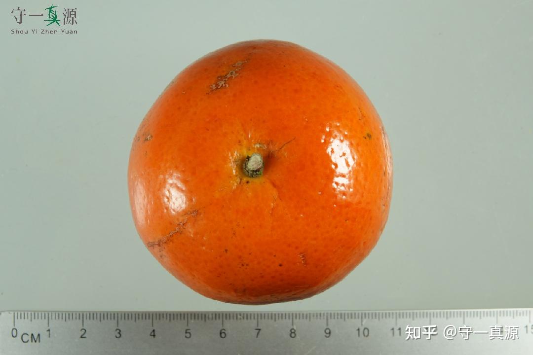 深入浅出聊枳实、枳壳之前生 - 知乎
