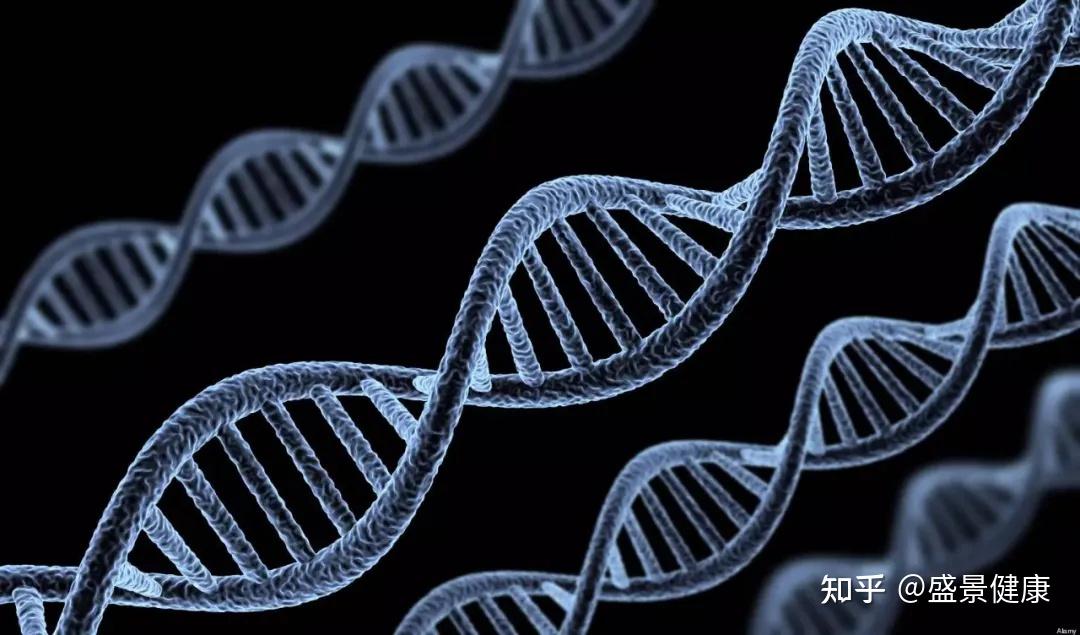 科学不老泉:长寿基因与nmn - 知乎