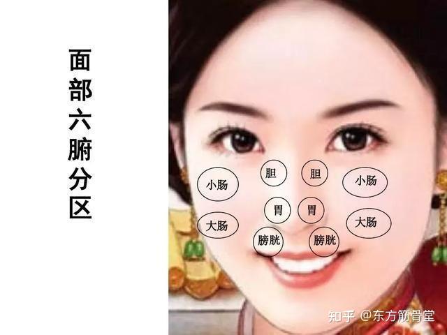 中医面诊理论全套基本常识 - 知乎