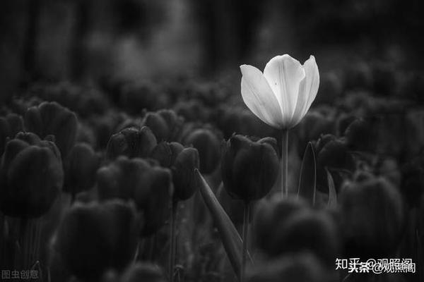 三月十九日二十日闭关日记 法界之心 连载三十三 知乎