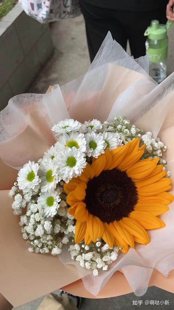 从种子到鲜花