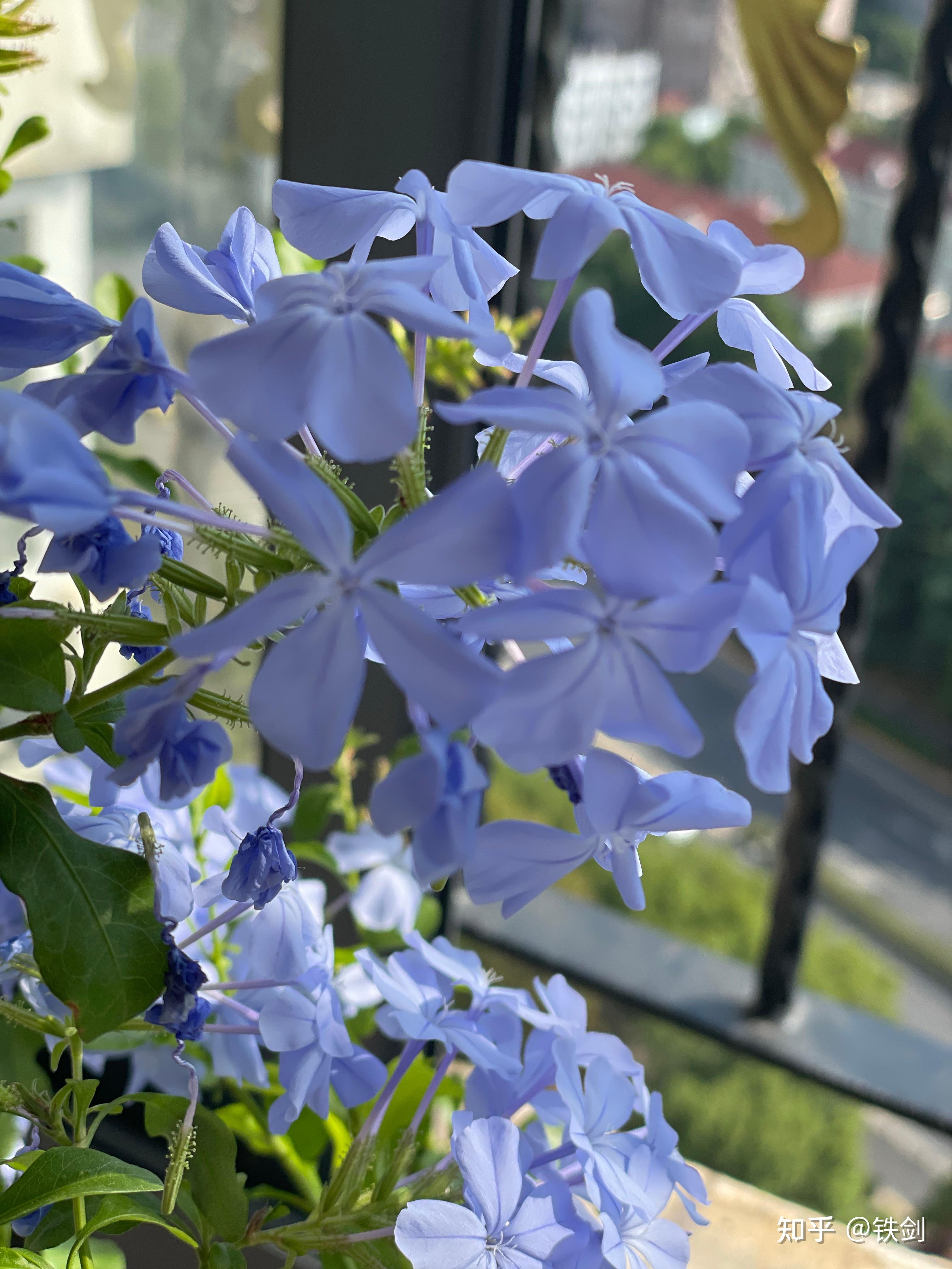 7lfnlew5ea正念之道:此即是彼67文/鑖劍中国人民大学 文学硕士铁剑