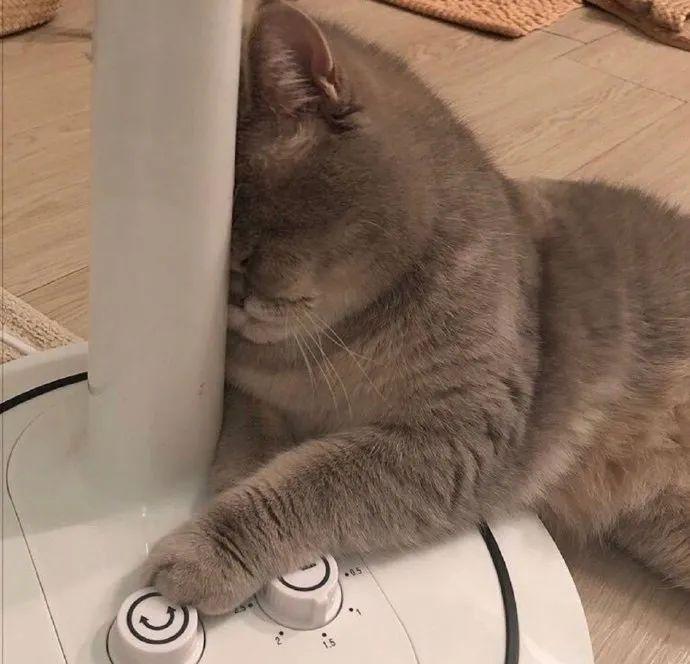 史上最全2021海归落户政策,11个城市一次说完!