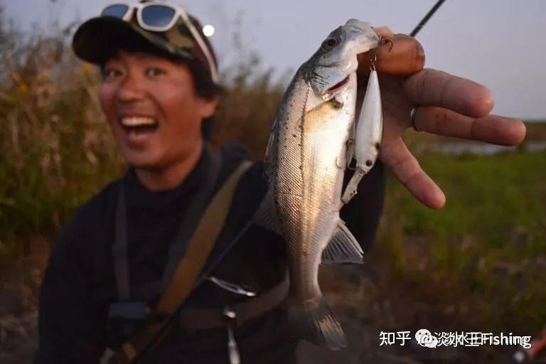 路亚·技能丨琵琶湖当红导钓使用巻物挑战霞ヶ浦水系（下）【永野总一朗】 知乎