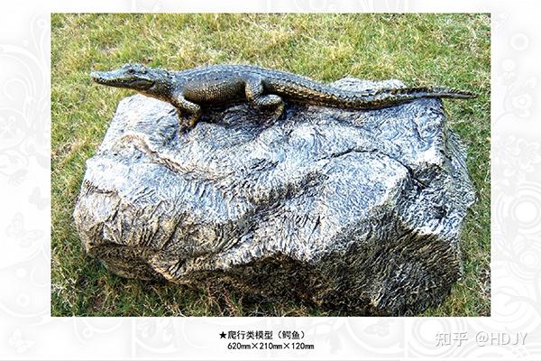 爬行类的活化石扬子鳄