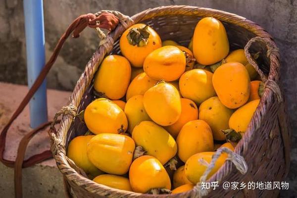 这些地方的柿子都很有名 你吃过哪些？ - 知乎
