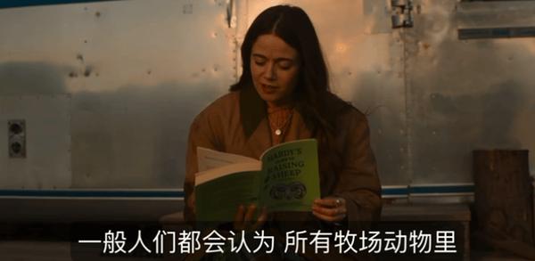 《绵羊侦探团》烂番茄影评人和观众口碑双爆!这部片值得