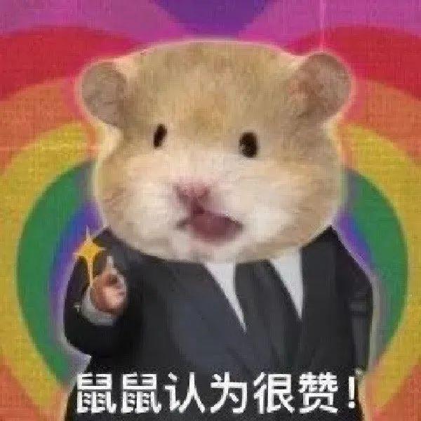 沙雕可爱表情包/聊天必备表情包:老板,我给你开工资你搁这斗图? - 知乎
