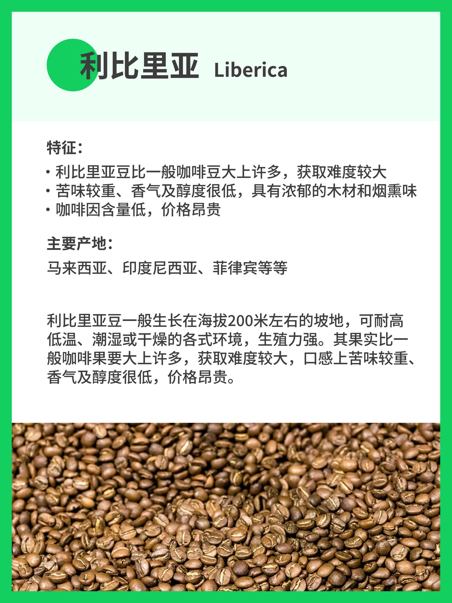 4⃣️大咖啡豆品种讲解｜咖啡小知识✓ - 知乎