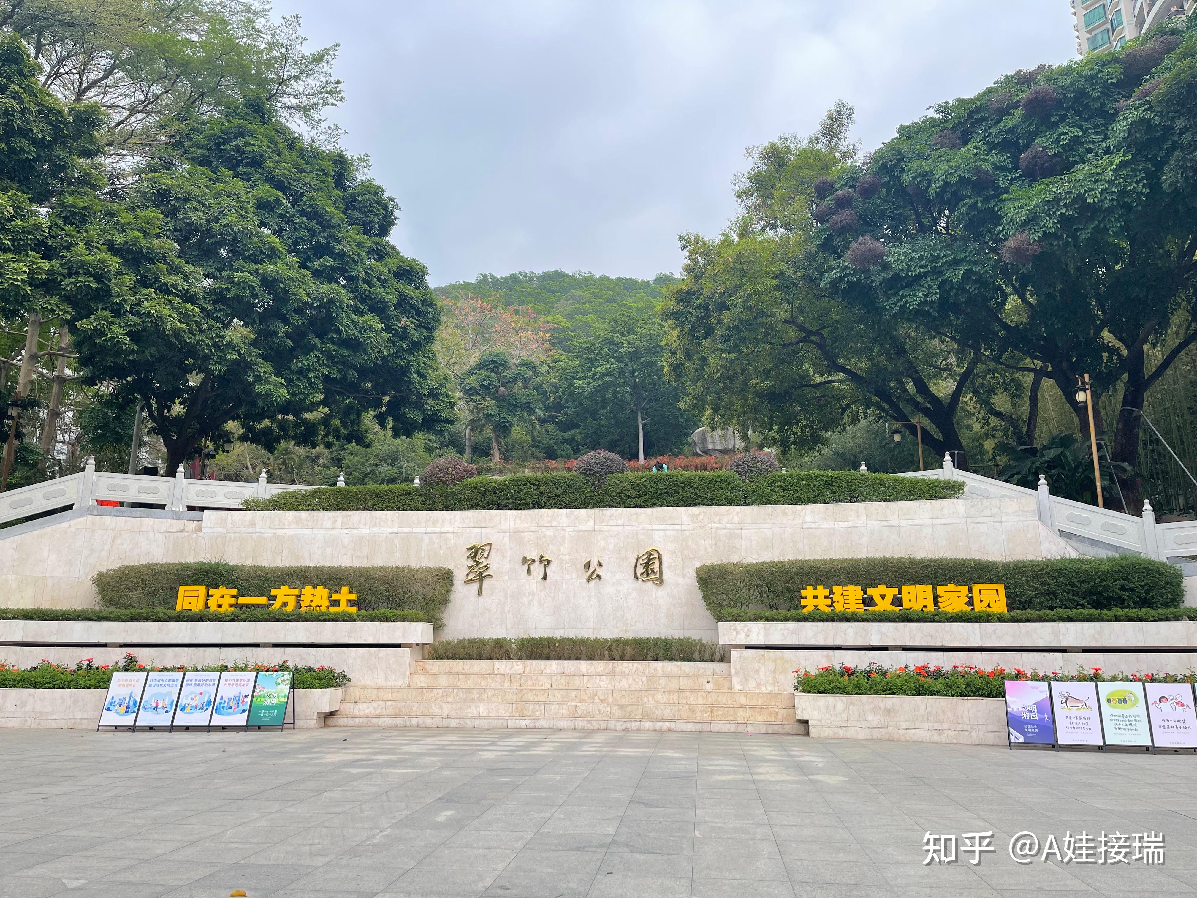 深圳市康宁医院挂号(深圳市康宁医院挂号时间)