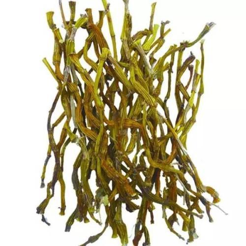 米斛金钗石斛和铁皮石斛三者的区别