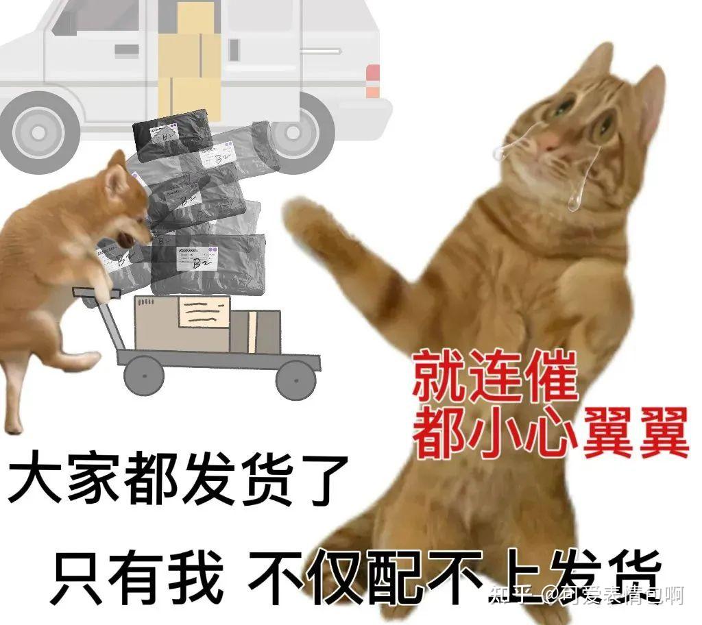 “火热” | 双十一剁手表情包,再也不买了!gif动图 - 知乎