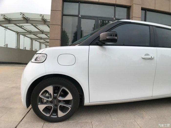 穿梭在城市间的白色精灵欧拉白猫给我带来大好心情