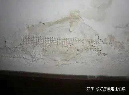 外墙泛碱看外墙涂料厂家如何处理 - 知乎