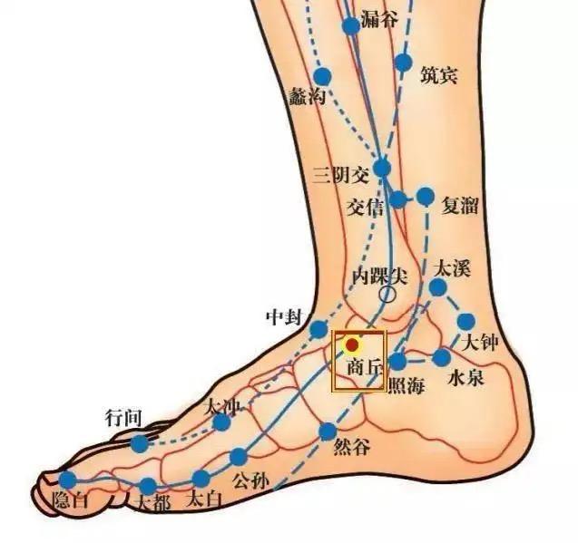 丘墟透照海进针路线图图片