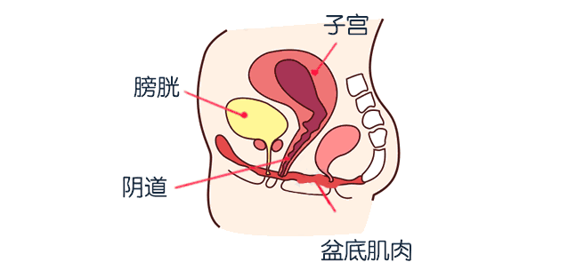 v2-a98b5ac927ab8609ec56c3a770743d94_1440w.jpg?source=172ae18b