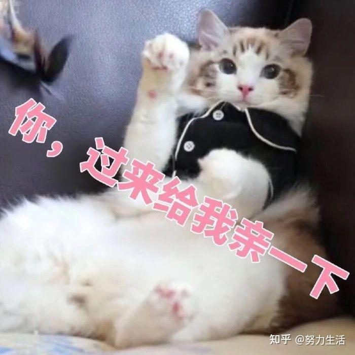 情侣表情包!有对象的快点收藏吧! - 知乎
