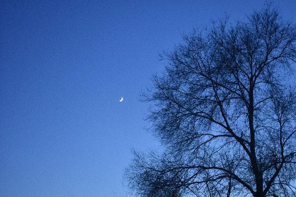 月亮的别称飞镜 玉鉴 冰镜 圆镜月轮 琼轮 银盘 晶盘玉钩 银钩 玉弓