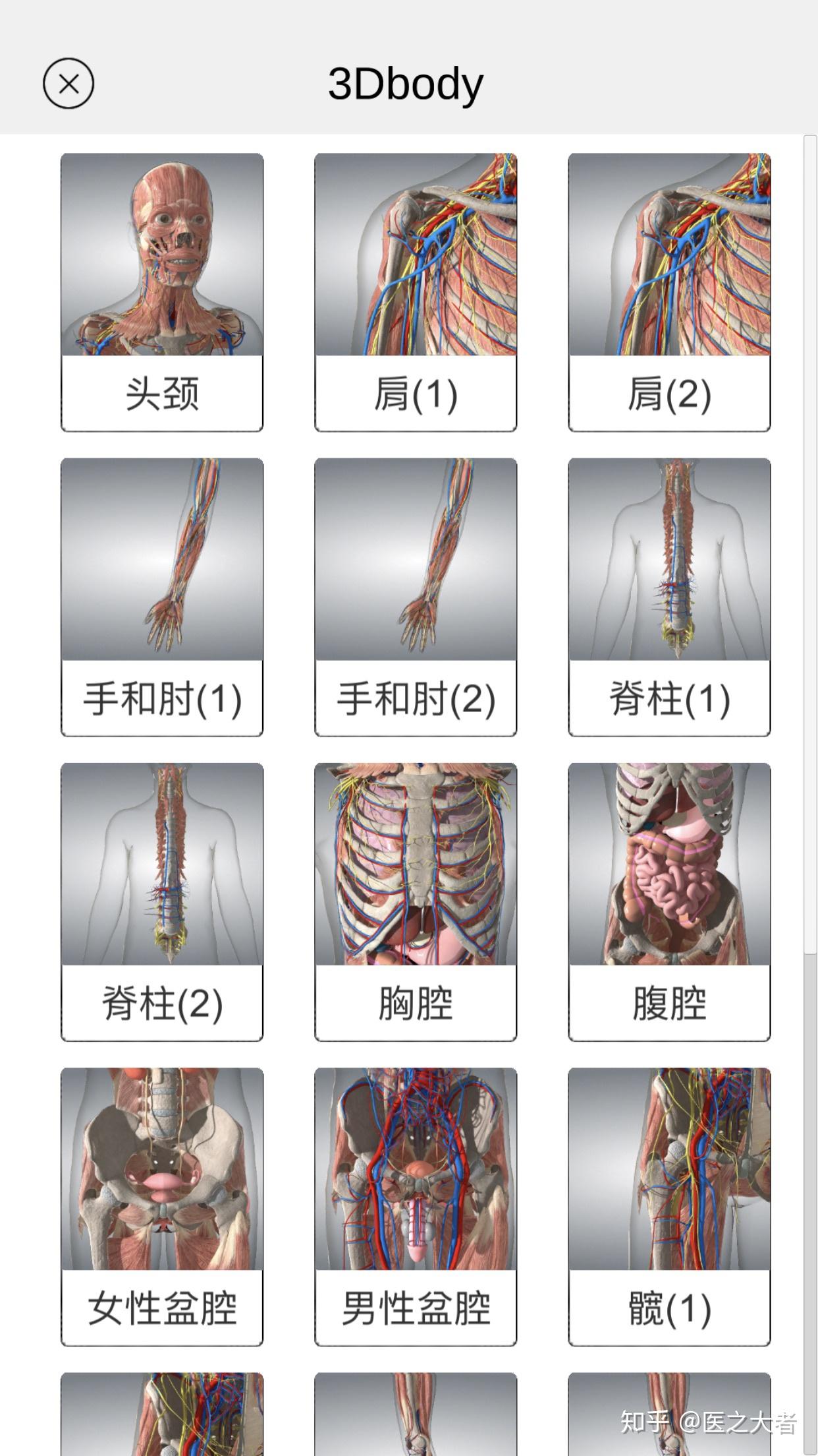 人体全身骨骼与肌肉结构分布图-普画网