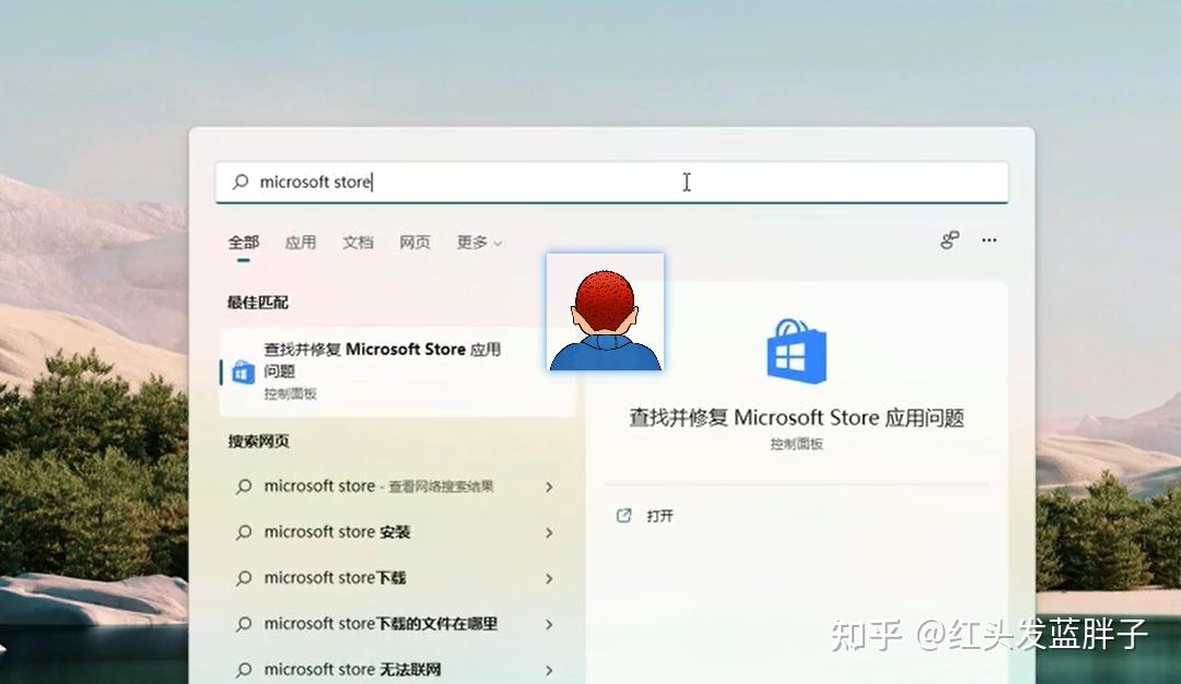 Windows11 microsoft store win10 