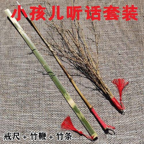 柯基一出门就不听话该怎么教