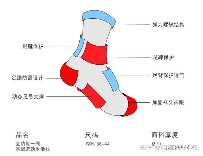 袜子结构图各部位名称图片