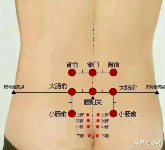 倪海厦针灸课笔记(14)足太阳膀胱经02 - 知乎