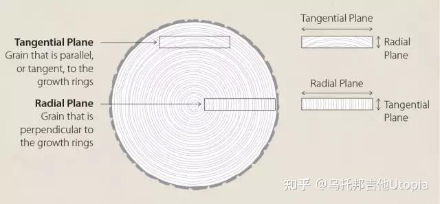 不同的吉他木材切割方式的效果和影响 - 知乎