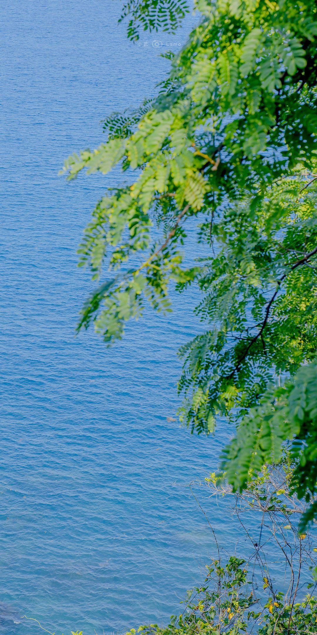 有没有什么青春阳光气息的壁纸