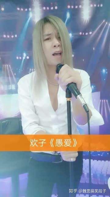 歌手王虹演唱视频 王虹黄家驹演唱视频 王虹的歌为什么被禁