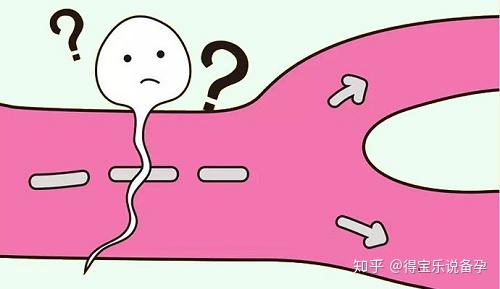 做什么运动可以提升精子质量 v2-aa08eef95a6c263ff1d32006d990bc5a_r.jpg