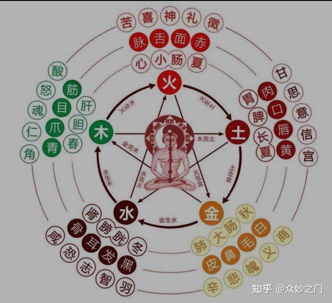 疾病与阴阳、五行 - 知乎