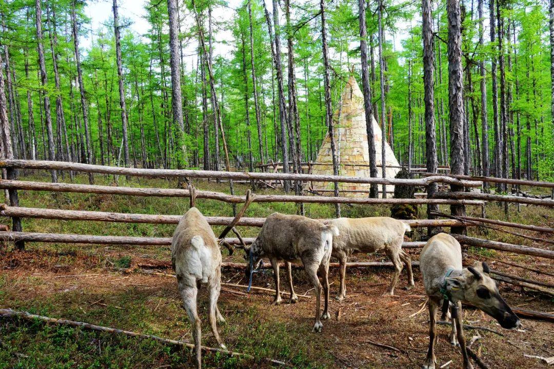 中国第一位女酋长，比芬兰更童话，隐居100年，现在像活一样。