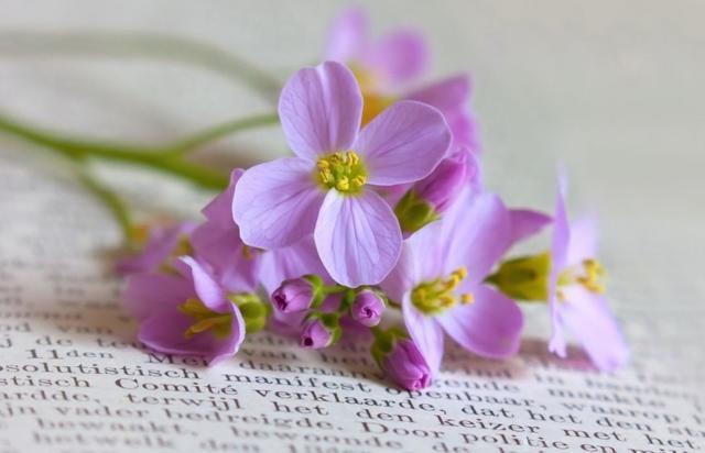 v2-aa179889001424bb476cfaf45ee4845f_1440w.jpg?source=172ae18b