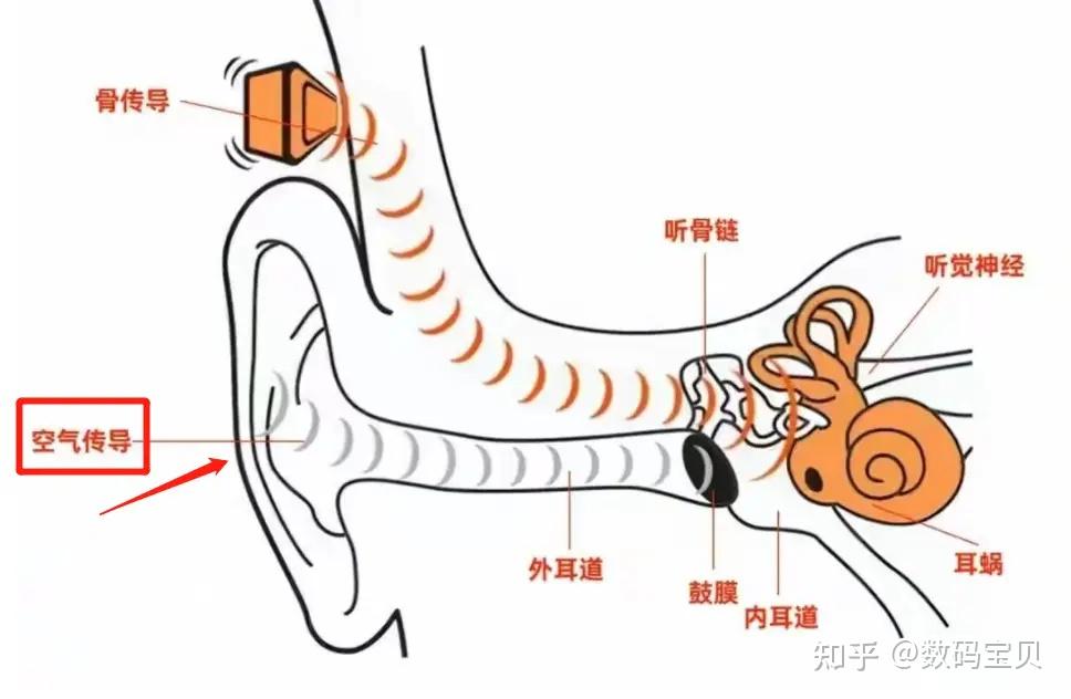 v2-aa3bfebed6e7c37cf92e97bd93f7704e_r.jpg