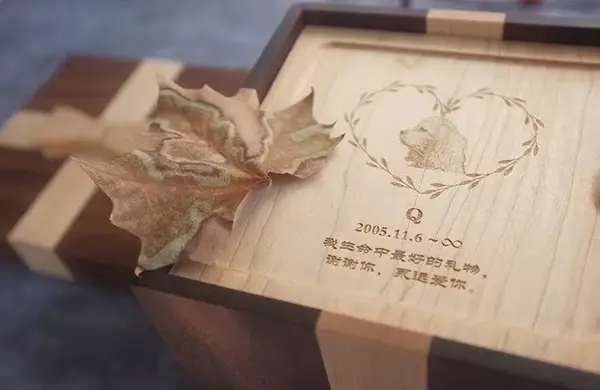 一个给小动物做小墓碑,小盒子的人——北京女孩吴彤常常这样介绍自己.