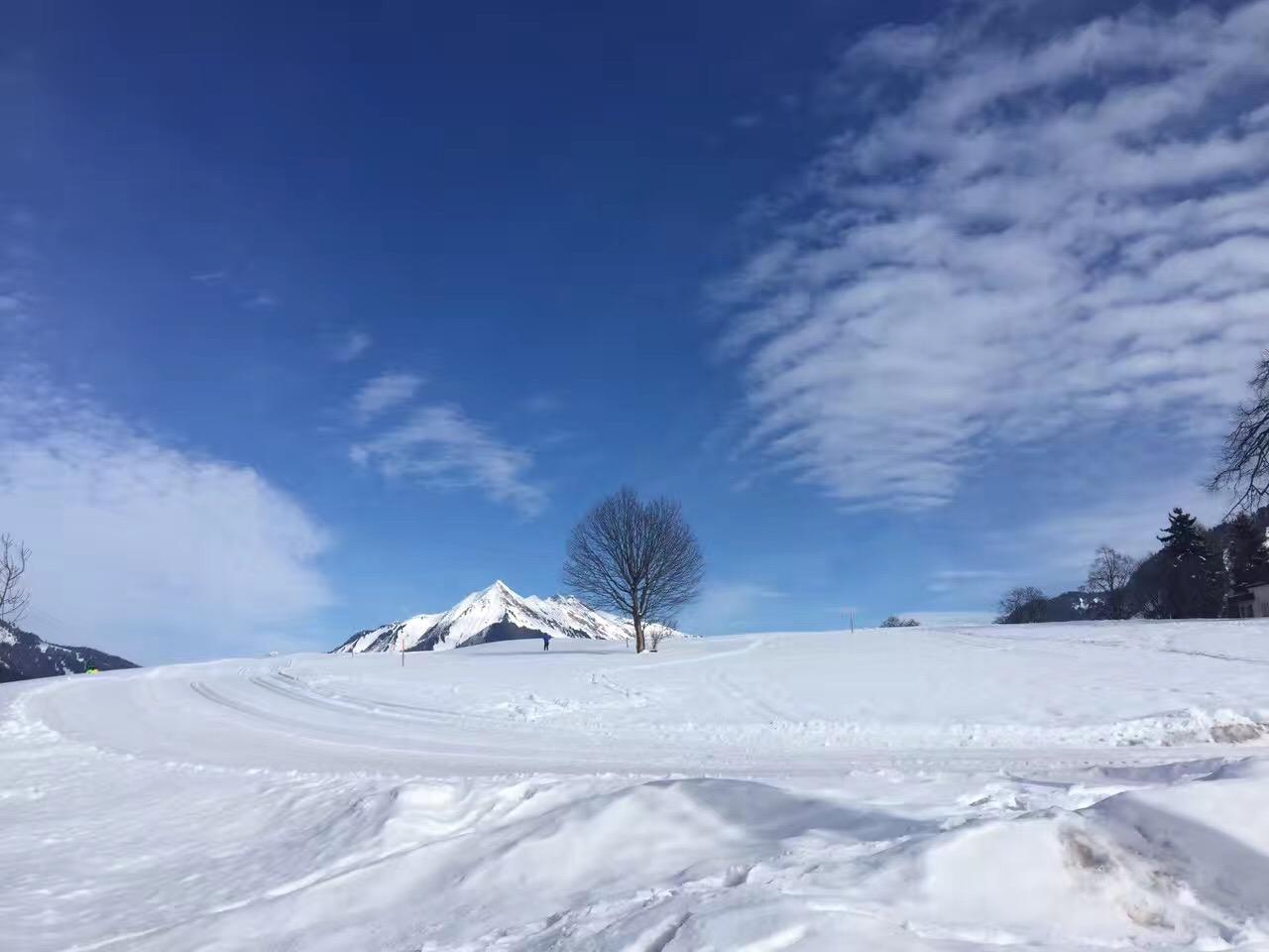 如何进入洛桑酒店管理学院?