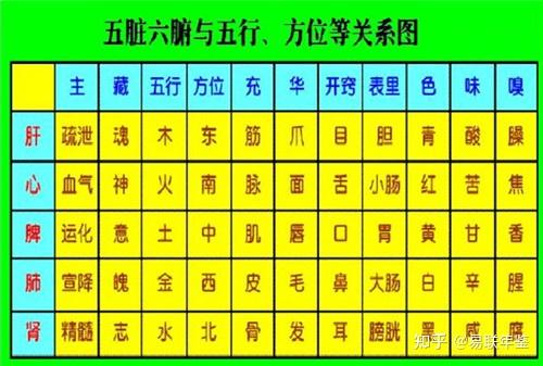 五行和人体五官、五脏的关联,为什么要从中医学角度入手? - 知乎
