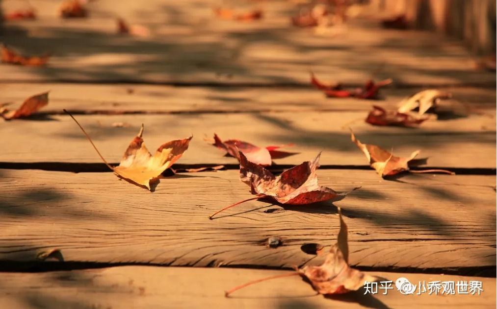 三毛:如果有来生 【经典美文赏析】 - 知乎