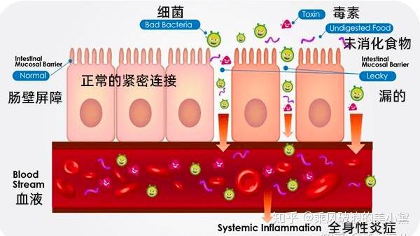 棕榈油商场走强脂肪酸商场贱价收敛